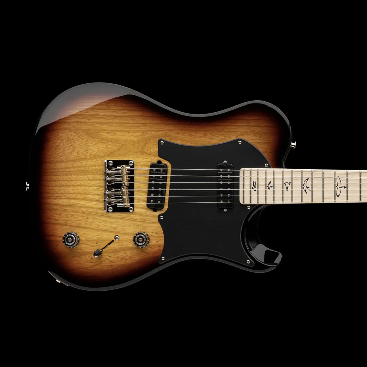 MYLES KENNEDY STAGE-USED PRS SIGNATURE GUITAR (WINTER 2026 US TOUR